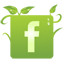 facebook facebook